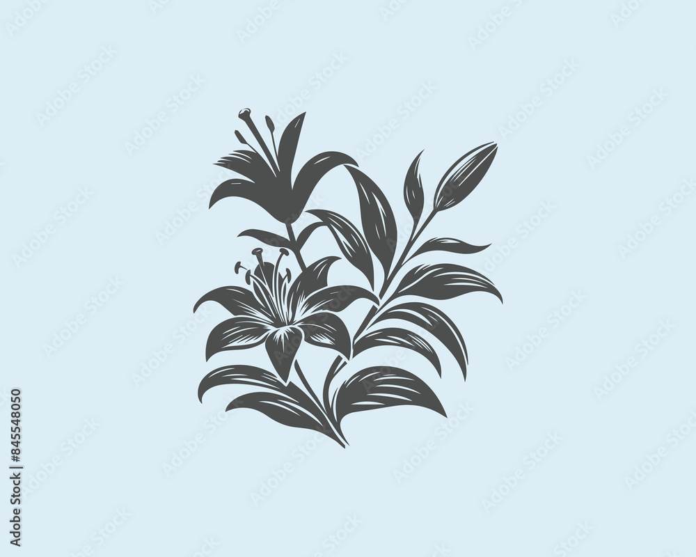 lily flower silhouette in vector Simple illustration lily flower silhouette in vector Simple illustration