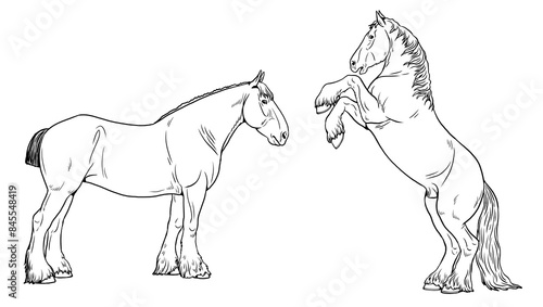 Bild auf Leinwand Illustration of the draft horse - Shire Horse