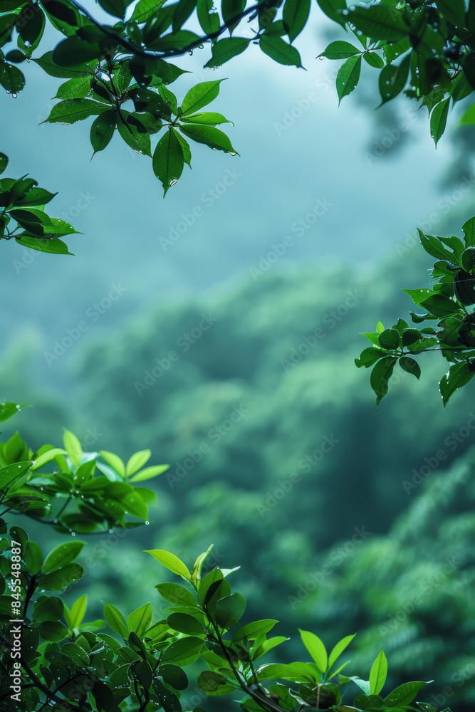Lush green foliage with raindrops in a misty rainforest, creating a tranquil and refreshing atmosphere, perfect for nature and environmental themes. Lush green foliage with raindrops in a misty rainforest, creating a tranquil and refreshing atmosphere, perfect for nature and environmental themes.