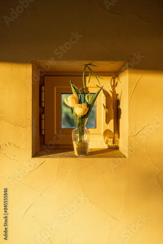 Background image of a wall with a small square window and flower on it during a sunshine in beige tones