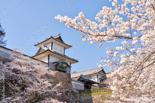 Foto 金沢市の兼六園から望む金沢城の春の風景。ソメイヨシノが満開で春のお花見時期には人気の桜の名勝