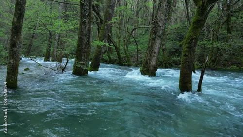 Torrent Water Stream Lijak in Vipava valley in after rain Season  photo