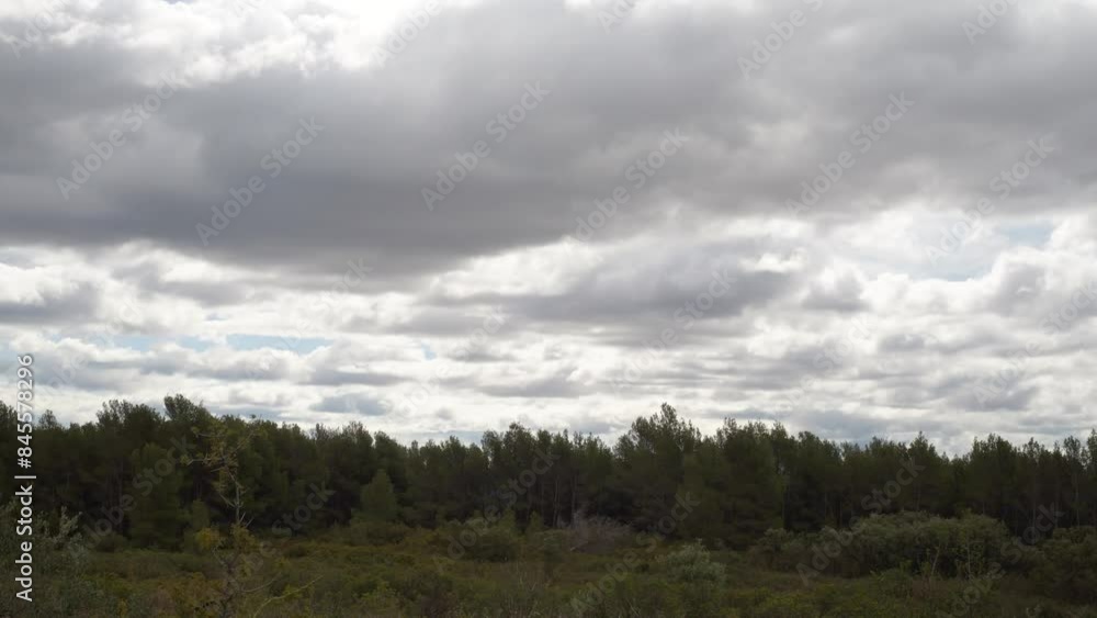 Time lapse of a Mediterranean forest with rain clouds moving. Typically Mediterranean forest and bush scene Time lapse of a Mediterranean forest with rain clouds moving. Typically Mediterranean forest and bush scene