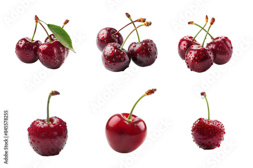Cherry Collection Bundle Set Isolated on a transparent background