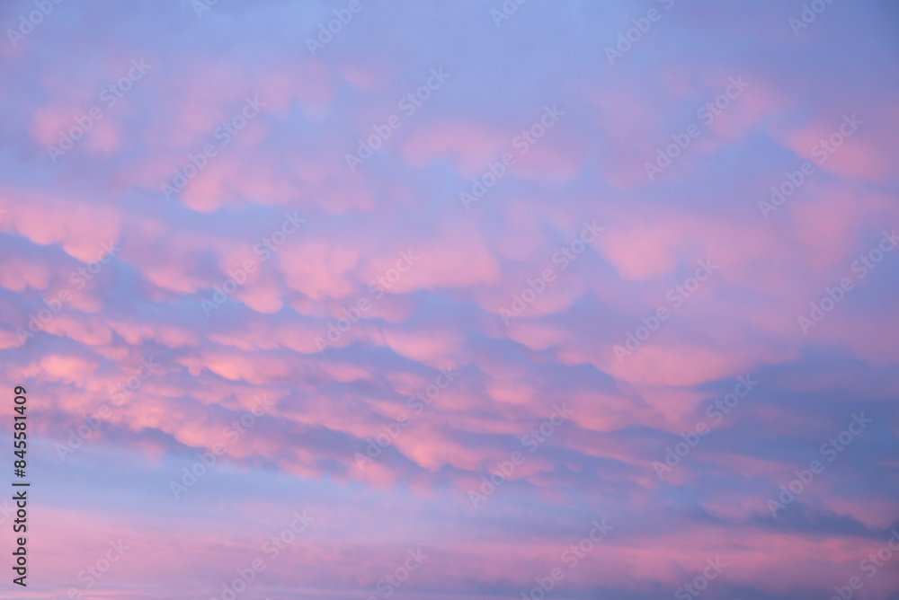 sunset sky with mammatus clouds light pastel colors pink blue and purple sunset sky with mammatus clouds light pastel colors pink blue and purple