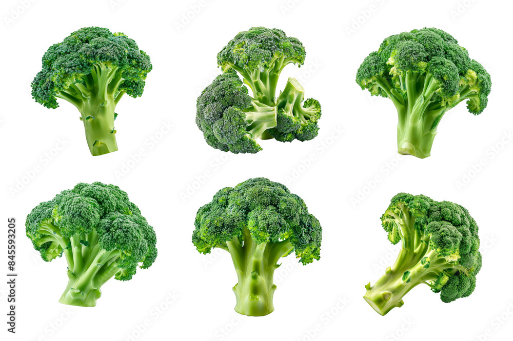 Broccoli Collection Bundle Set Isolated on a Transparent Background Broccoli Collection Bundle Set Isolated on a Transparent Background