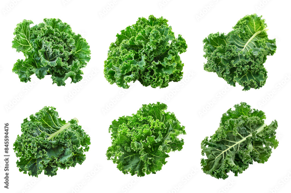 Obraz premium Kale Collection Bundle Set Isolated on a Transparent Background