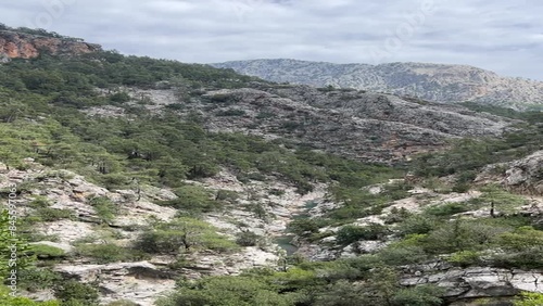 Wallpaper Mural View of rocky mountains with sparse trees. Vertical video of mountains Torontodigital.ca