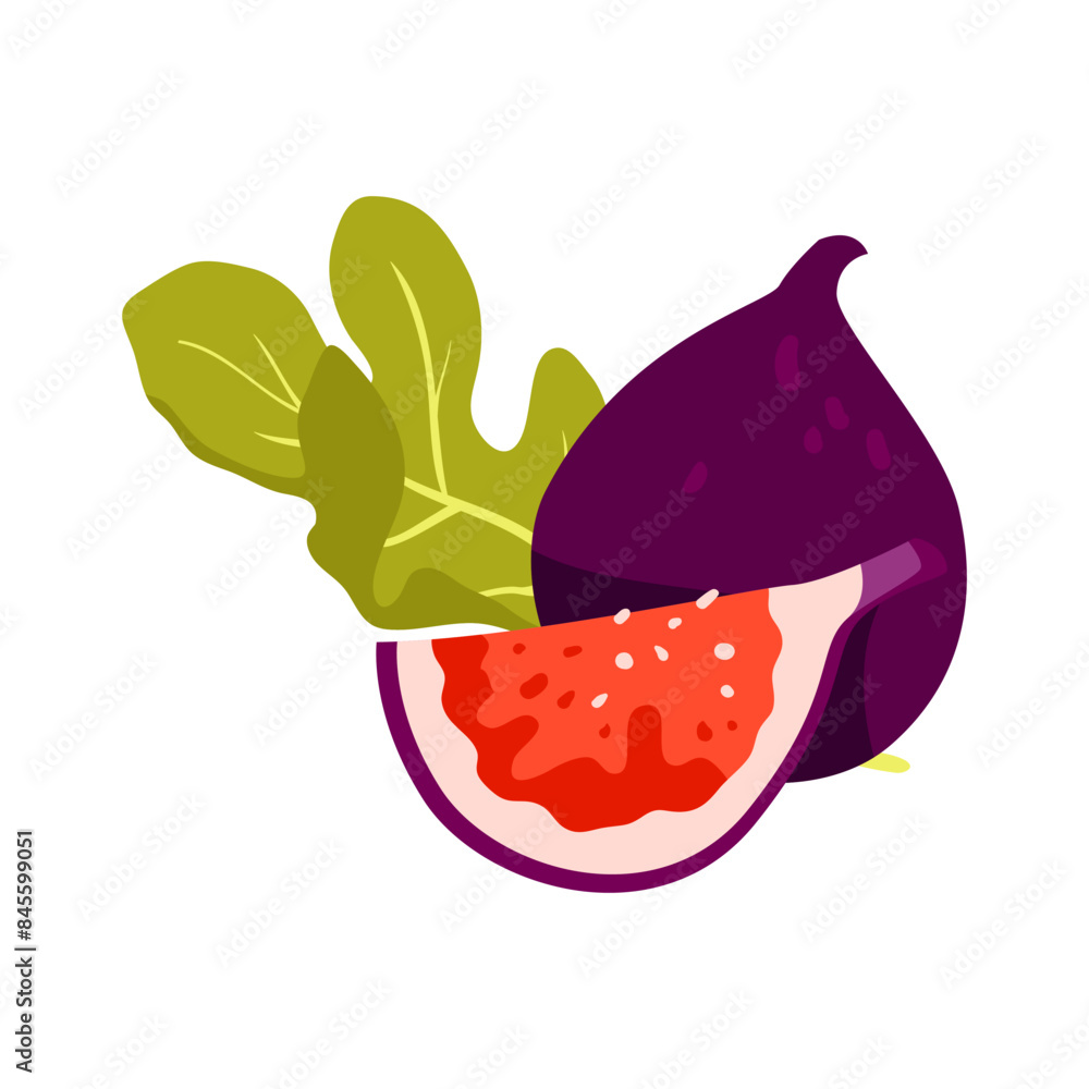 Whole and cut fig. Raw purple fruits, fresh exotic figs cartoon vector illustration Whole and cut fig. Raw purple fruits, fresh exotic figs cartoon vector illustration