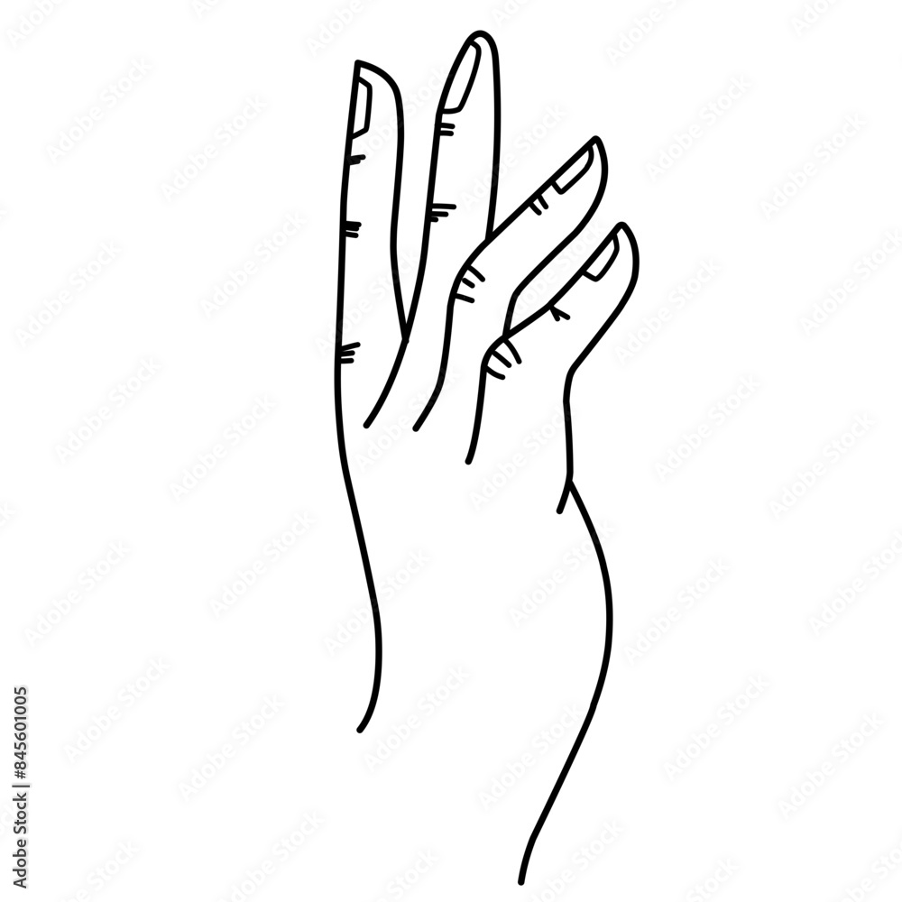 Hand Line Illustration Hand Line Illustration