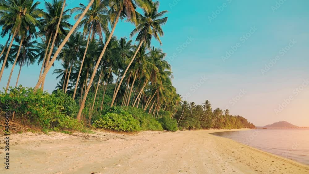 Palm trees, blue sea and pure natural landscape. Coconut tree with beautiful tropical beach on sunny day. Palm trees, blue sea and pure natural landscape. Coconut tree with beautiful tropical beach on sunny day.