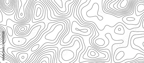 White topology and topography vector design abstract background contour map texture for print works