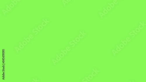 Check icon, check mark, white, on transparent background, 4k animation - 4k stockvideo