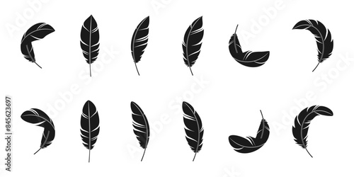 Bird feather icon set. vector illustration isolated on white background.