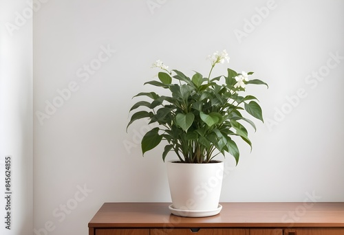 Clean Aesthetic Scandinavian style table   shelf with decorations. minimalist interior. Vase  plant  flower