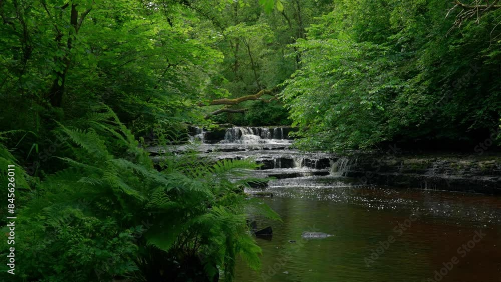 Waterfall In Lush Green Forest Peaceful Nature Waterfall In Lush Green Forest Peaceful Nature