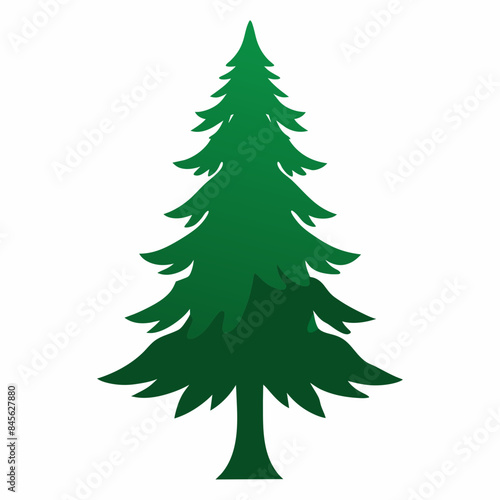 Pine icon Fir tree vector