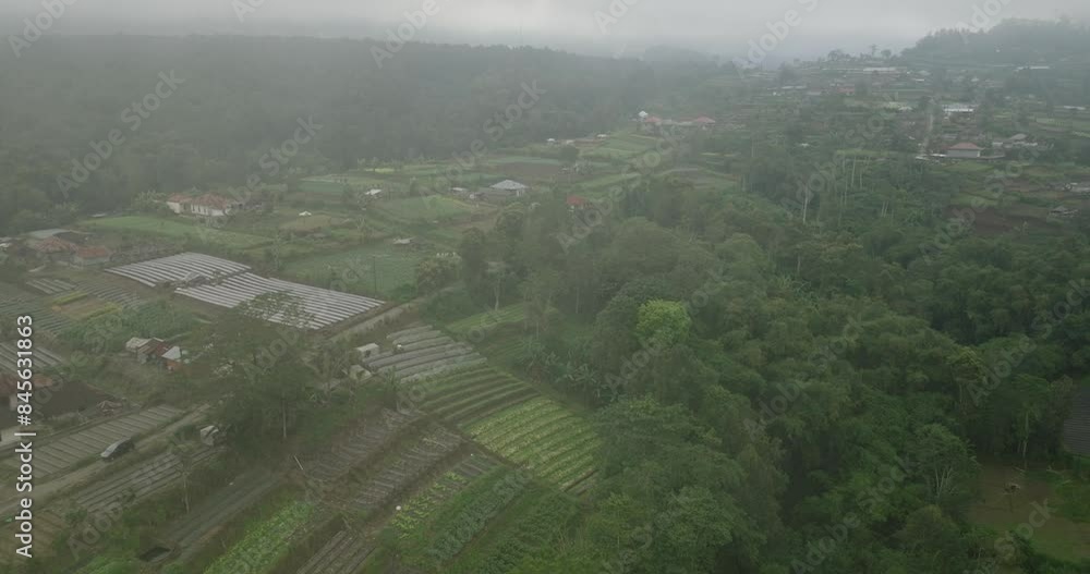 Aerial View of Rural Agricultural Fields in Mist and Fog Aerial View of Rural Agricultural Fields in Mist and Fog