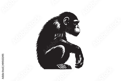 Gorilla Vector Illustration 9.eps