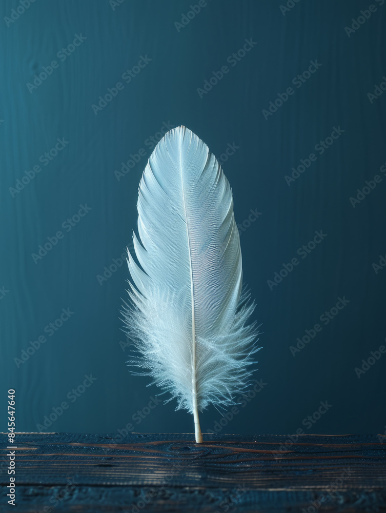 Single white feather standing upright on a dark wooden surface. Single white feather standing upright on a dark wooden surface.