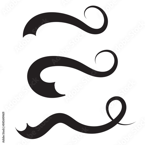 Hand drawn collection of curly swishes, swashes, swoops. Calligraphy swirl. Highlight text elements. Vector illustration.