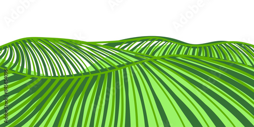 Farm field landscape on small hills. Furrows pattern in a plowed prepared for crops planting. Rows of soil, rural countryside perspective horizon view. Vector engraving sketch illustration.