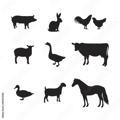 A set of farm animals vector isolated on a white background