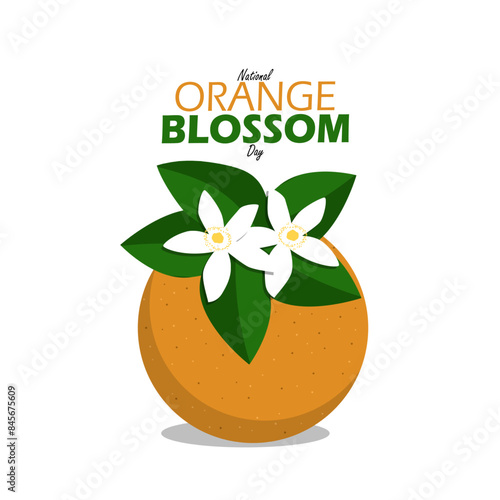 National Orange Blossom Day event banner. An orange with beautiful leaves and flowers on a white background to celebrate on June 27th