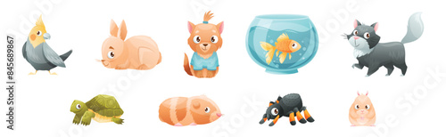 Cute Home Pet Animal with Bird, Rabbit, Dog, Fish, Cat, Turtle, Hamster and Spider Vector Set