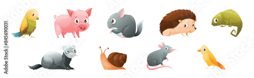 Cute Home Pet Animal with Parrot, Pig, Hedgehog, Chameleon, Ferret, Snail and Rat Vector Set