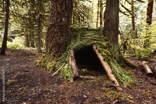 Selbstgebauter Unterschlupf im kanadischen Wald aus Ästen und Blättern