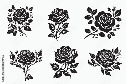 Rose silhouette vector illustration.eps