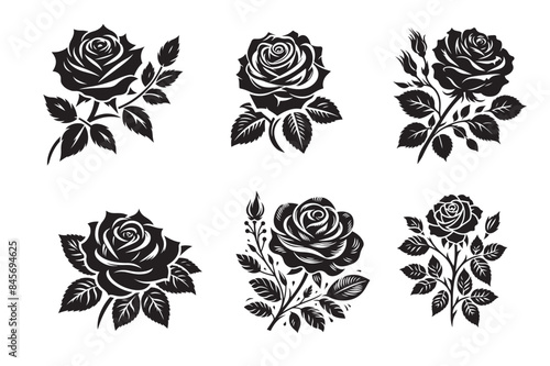 Rose silhouette vector illustration.eps