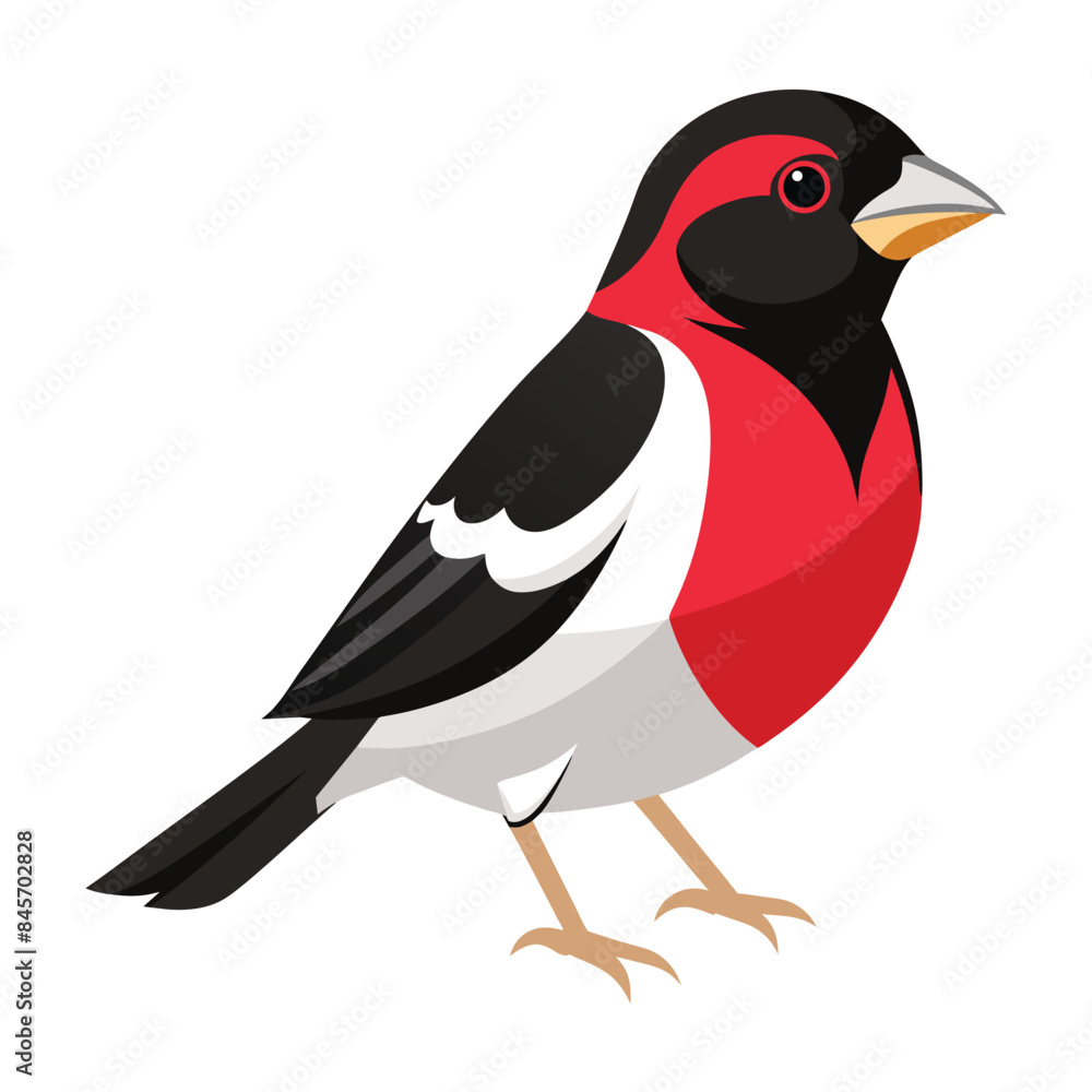 Obraz premium illustration of a rose-breasted grosbeak