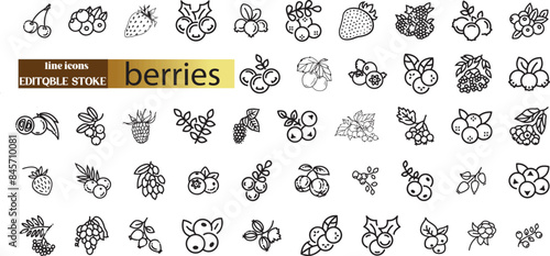 Berry and berries elements - minimal thin line web icon set.