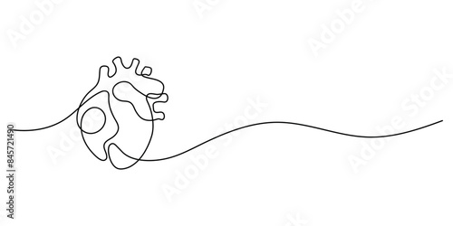Human heart internal organ in continuous line drawing on white background. Thin line illustration in the style of minimalism. Heart health concept