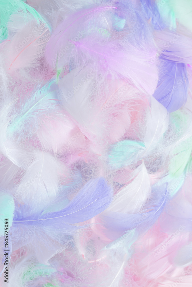 Fototapeta premium Colorful feather background, top view.