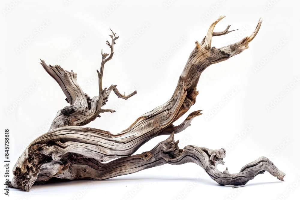A piece of driftwood sits on a white surface, perfect for use in minimalist decor or as a prop for photography A piece of driftwood sits on a white surface, perfect for use in minimalist decor or as a prop for photography