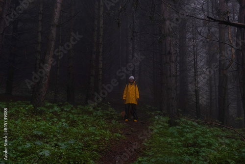 A woman in a yellow raincoat walks along a path through a dark foggy mystical spring forest during the rain