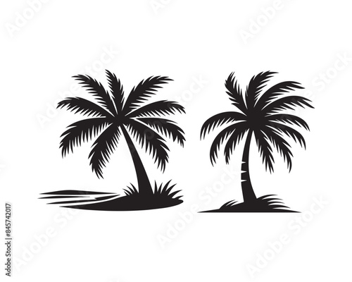 coconut tree Silhouette Illustration Vector Graphic Design Art Shadow Shape design