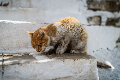 Fototapeta Naklejka Na Ścianę i Meble -  tagsüber in Filoti