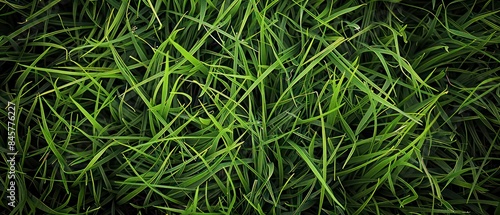 Grass texture embodies the tactile sensation of running your fingers through a verdant sea of green