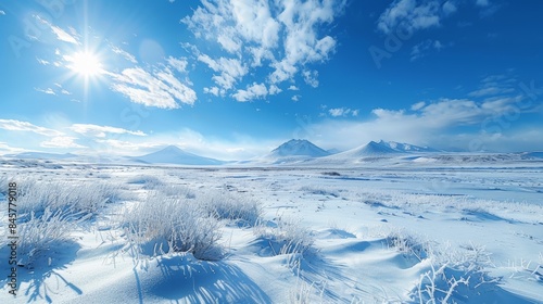 Vivid blue sky setting off a striking contrast with the expansive and open tundra landscape photo