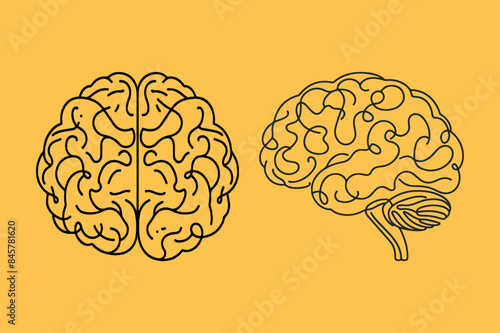 Brain outline vector illustration.
