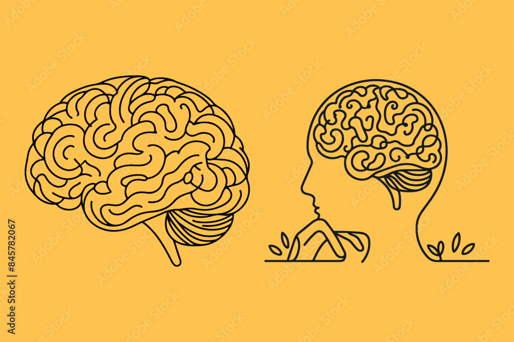 Brain outline vector illustration. Brain outline vector illustration.