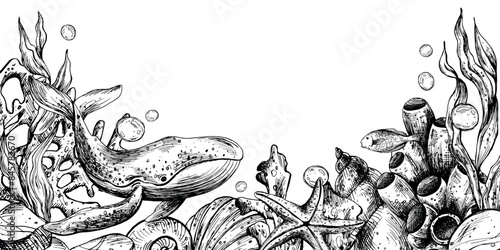 Underwater world clipart with sea animals whale, turtle, octopus, seahorse, starfish, shells, coral and algae. Graphic illustration hand drawn in black ink. Border, template, frame EPS vector.