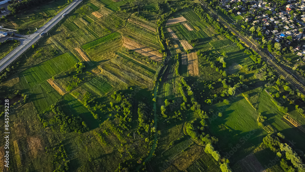 Fototapeta premium aerial country side landscape harvest fields park and trees green environment outskirts space in end of summer season August month time evening contrast lighting with shadow from sun