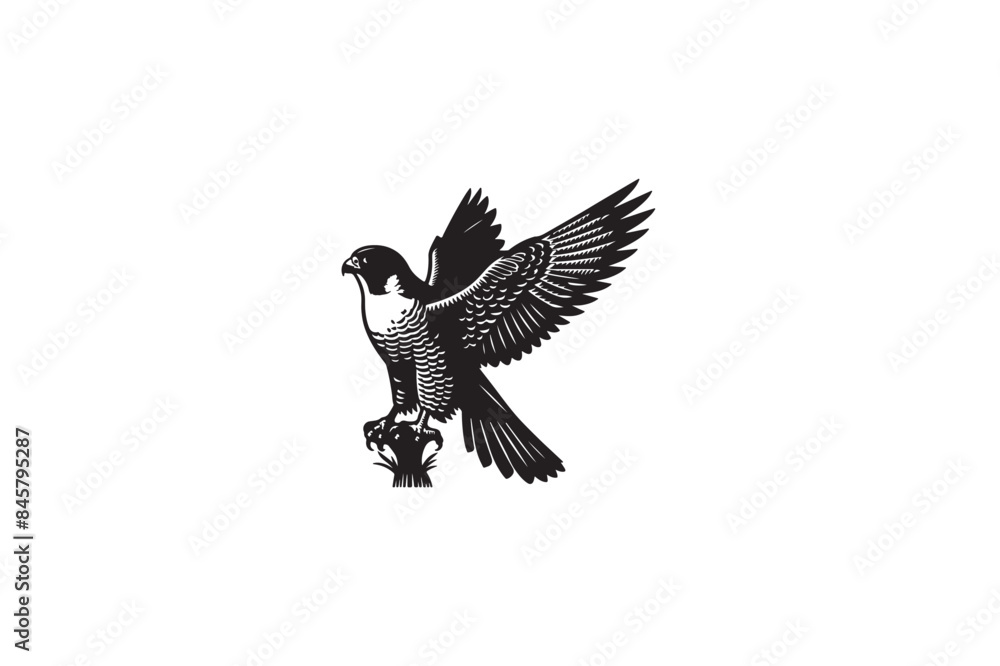 Fototapeta premium Peregrine Falcon silhouette vector style with white background1