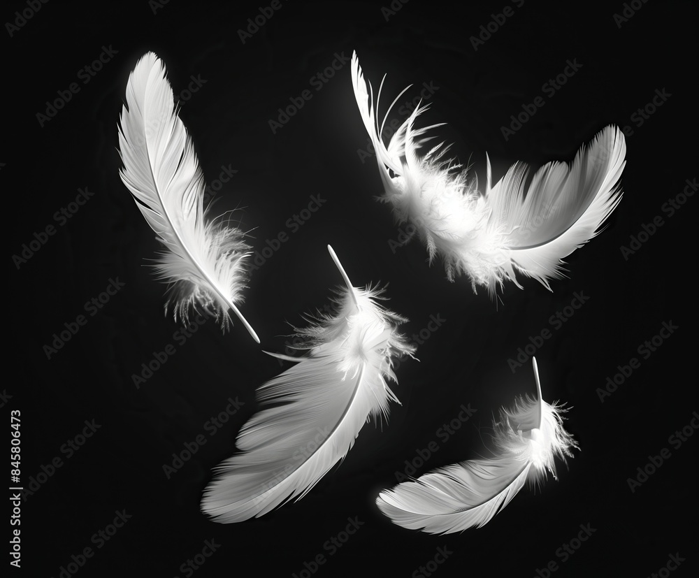 Obraz premium Feathers, flying in the air,