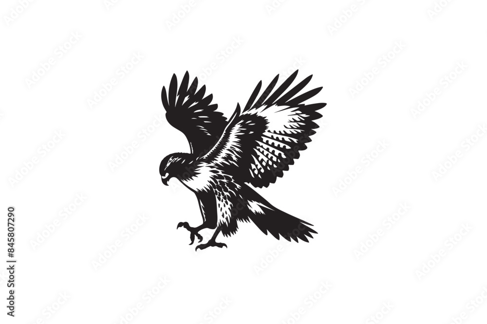 Obraz premium Red-tailed Hawk silhouette vector style 